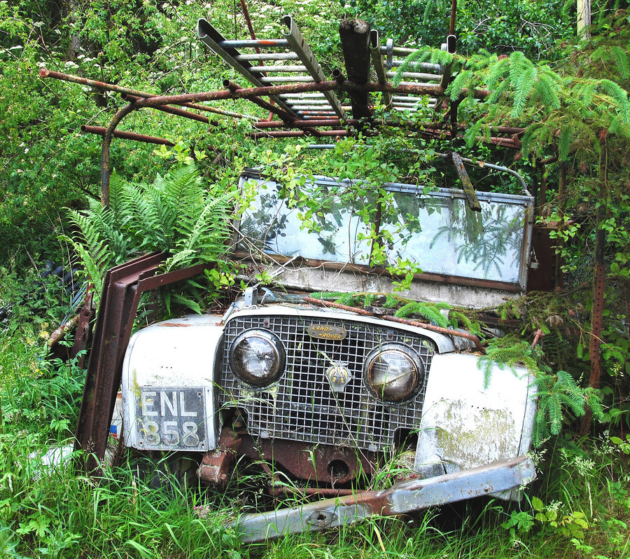 HC - Seen better days - Sue Lee